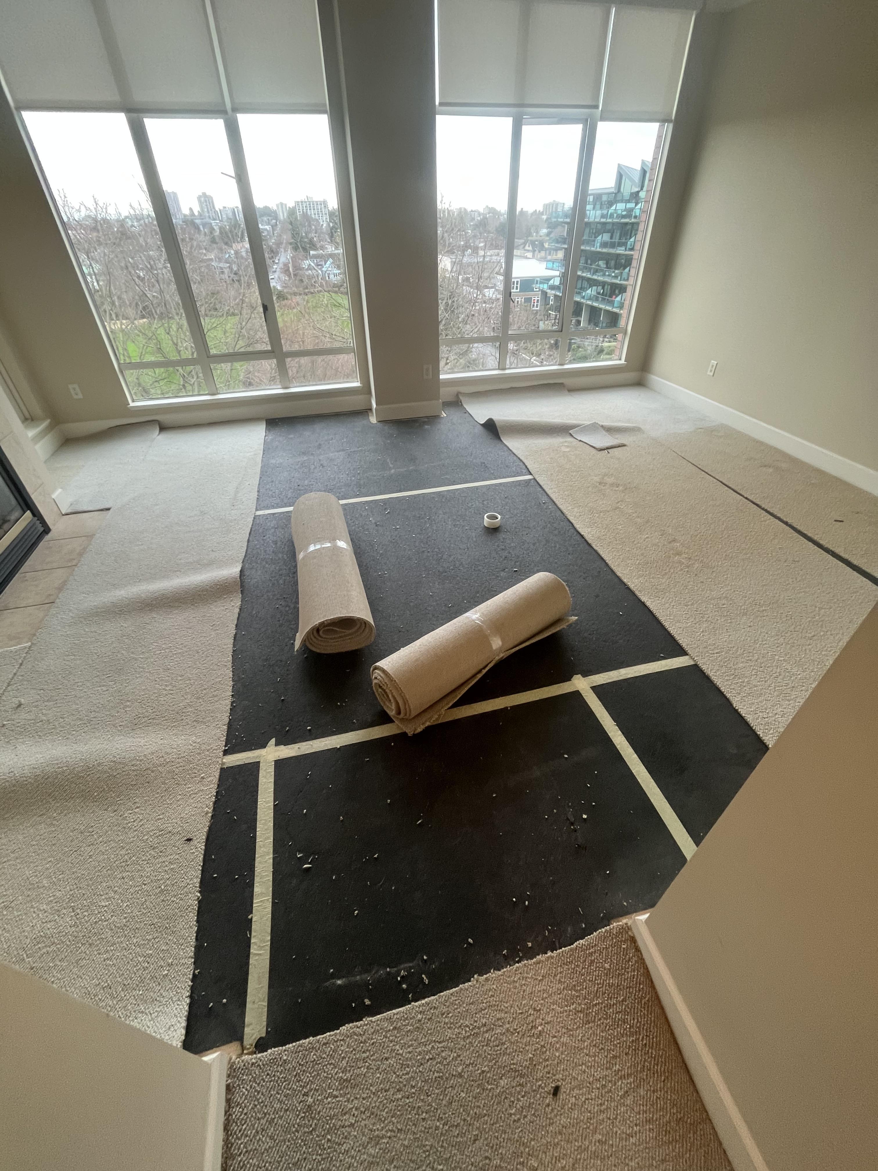 Carpet project