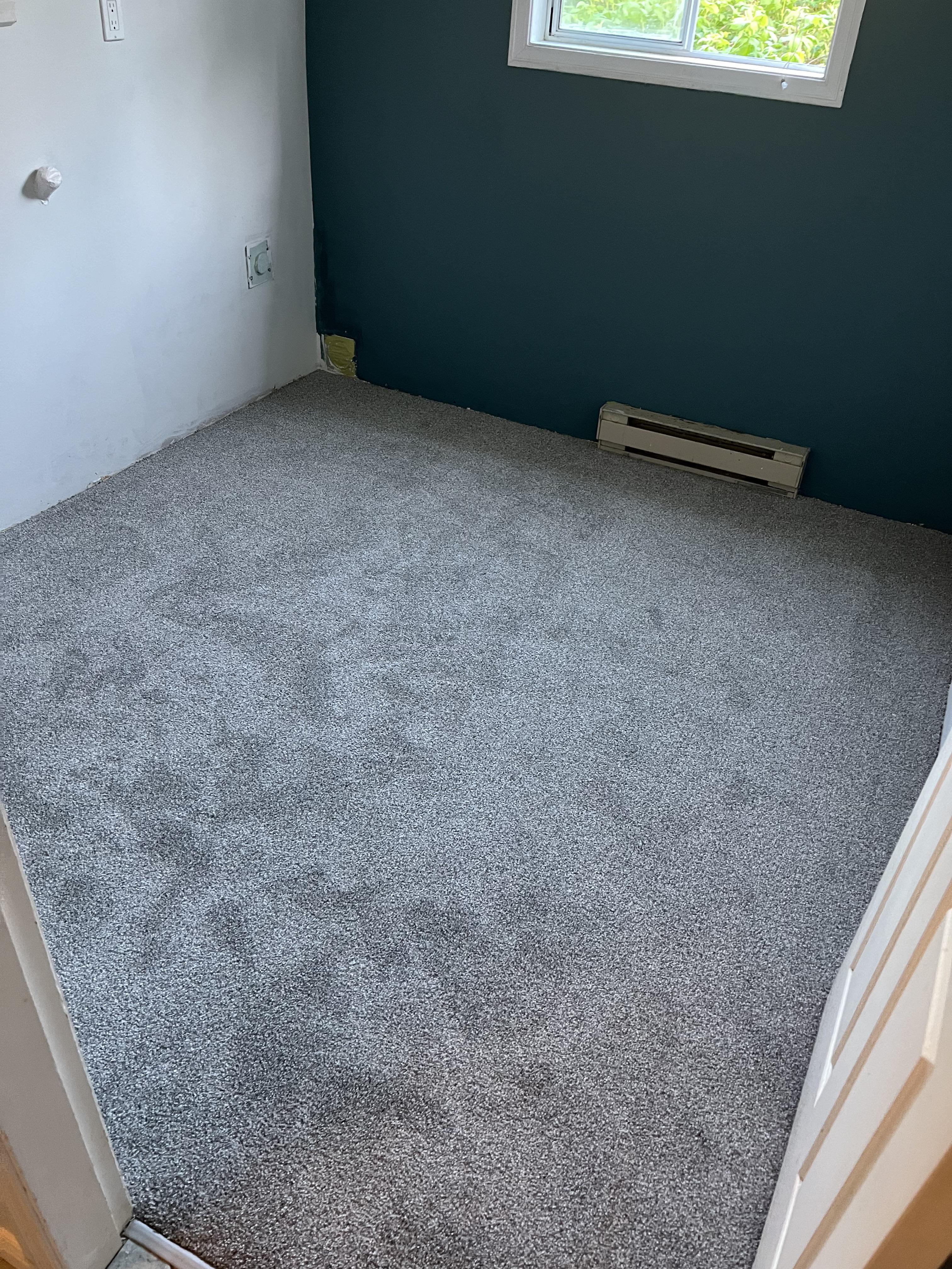 Carpet project